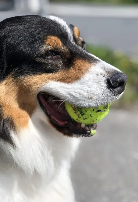billy