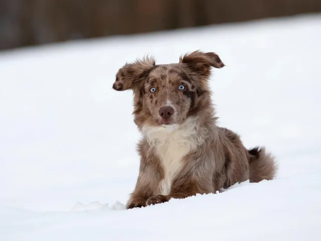 ruby2jahre