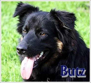 Butz