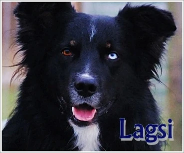 Lagsi
