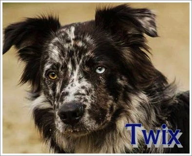 Twix